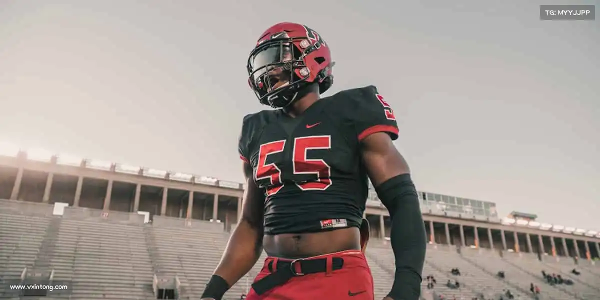 od体育体育是信仰,更是超越自我的力量!💯